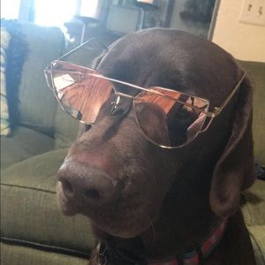 Meet your Posher, Millie